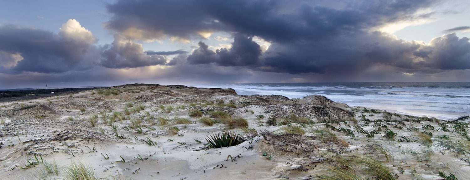 Cap Ferret