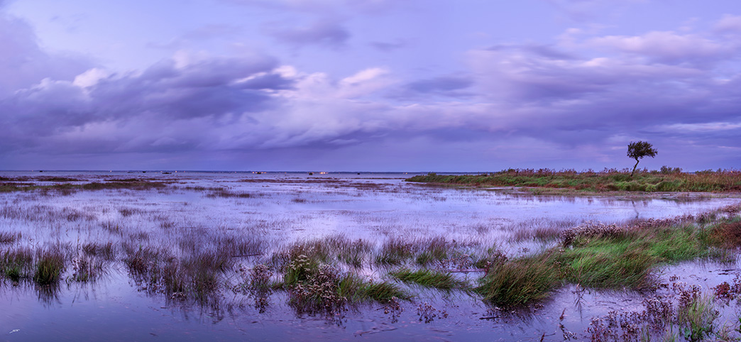 photo du bassin d’arcachon de stephane scotto