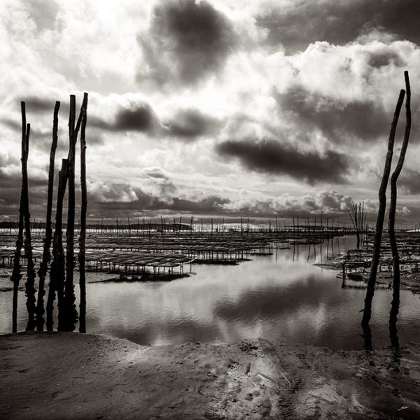 photo du bassin d’arcachon de stephane scotto