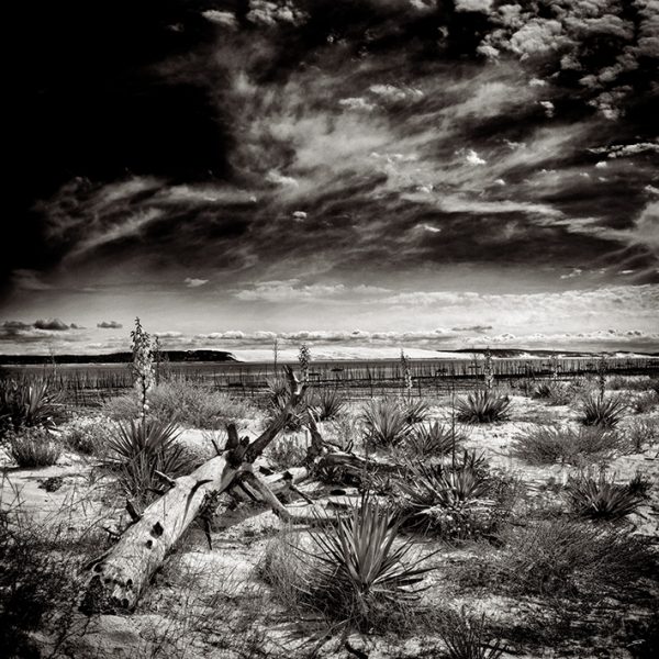 photo du bassin d’arcachon de stephane scotto