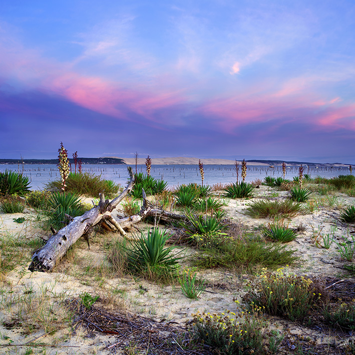photo du bassin d’arcachon de stephane scotto