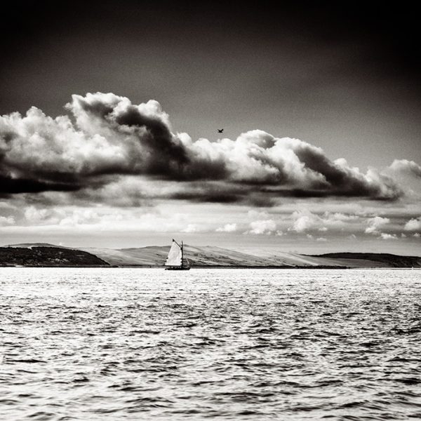 photo du bassin d’arcachon de stephane scotto