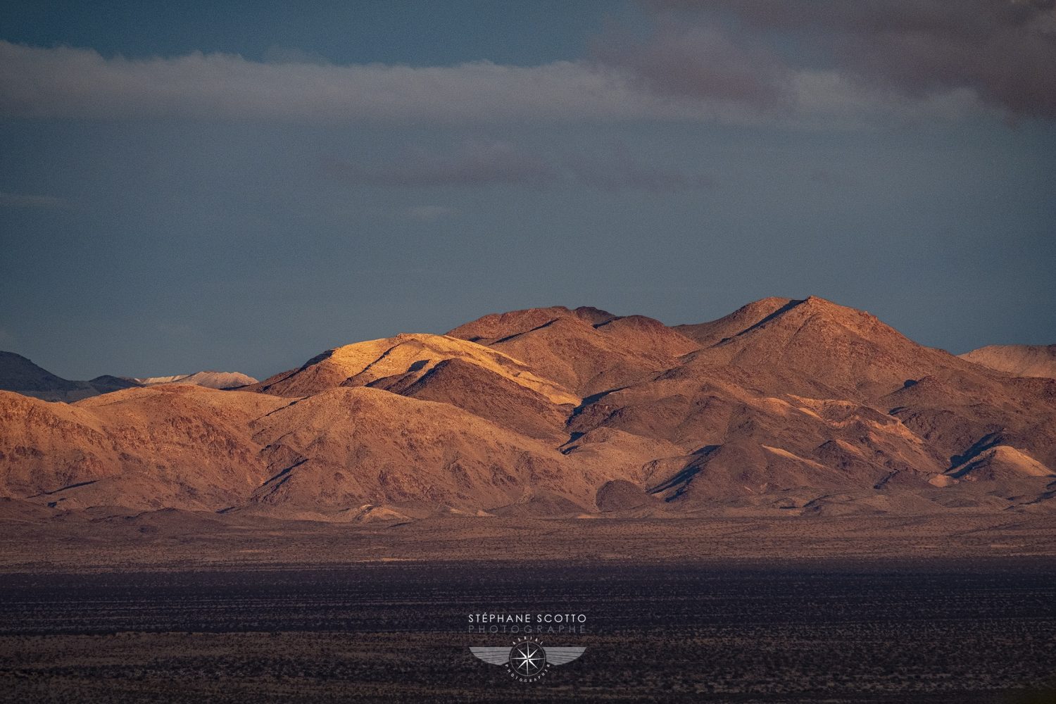 Photo de Joshua Tree par Stéphane Scotto photographe