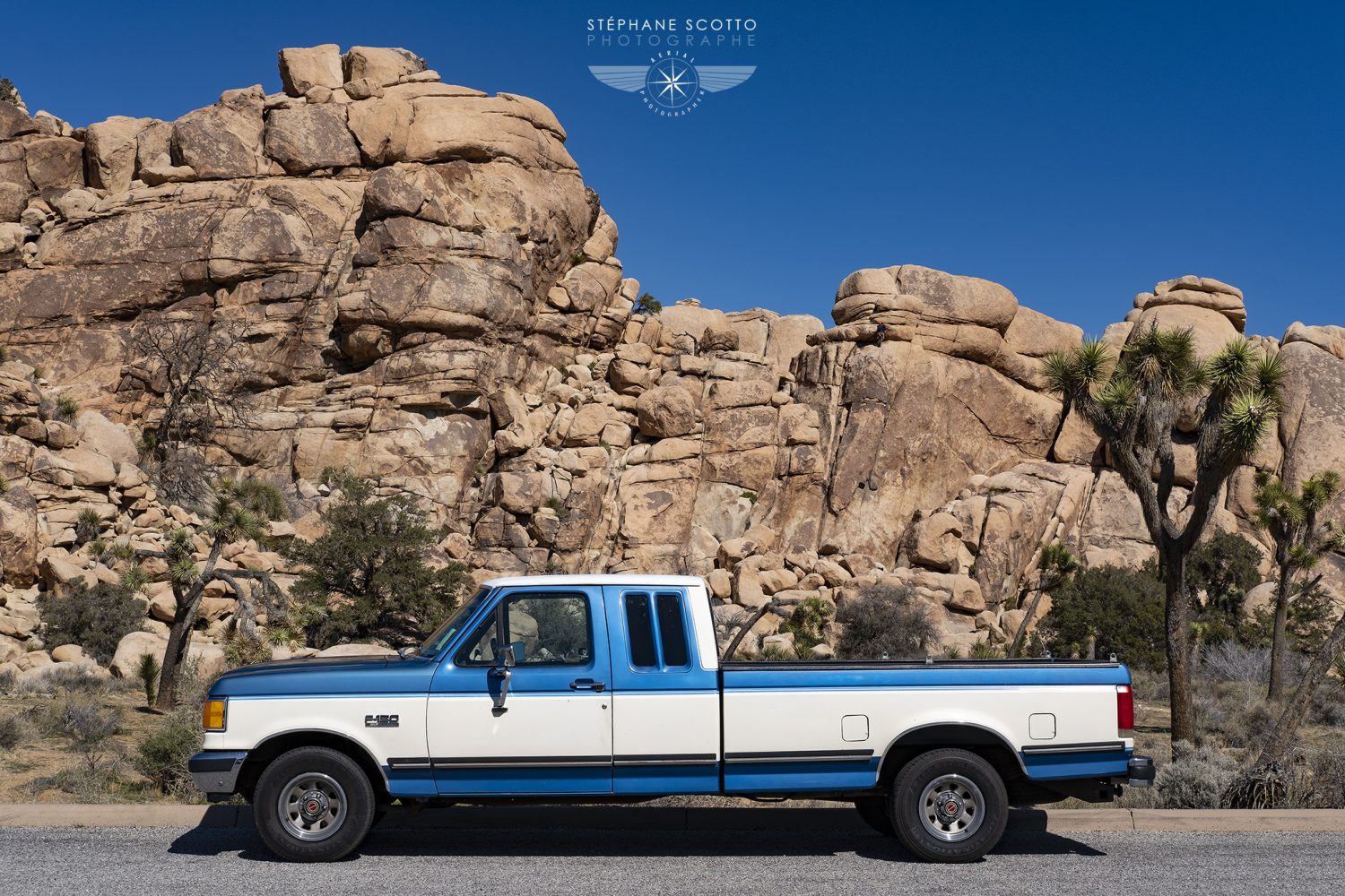 Photo de Joshua Tree par Stéphane Scotto photographe