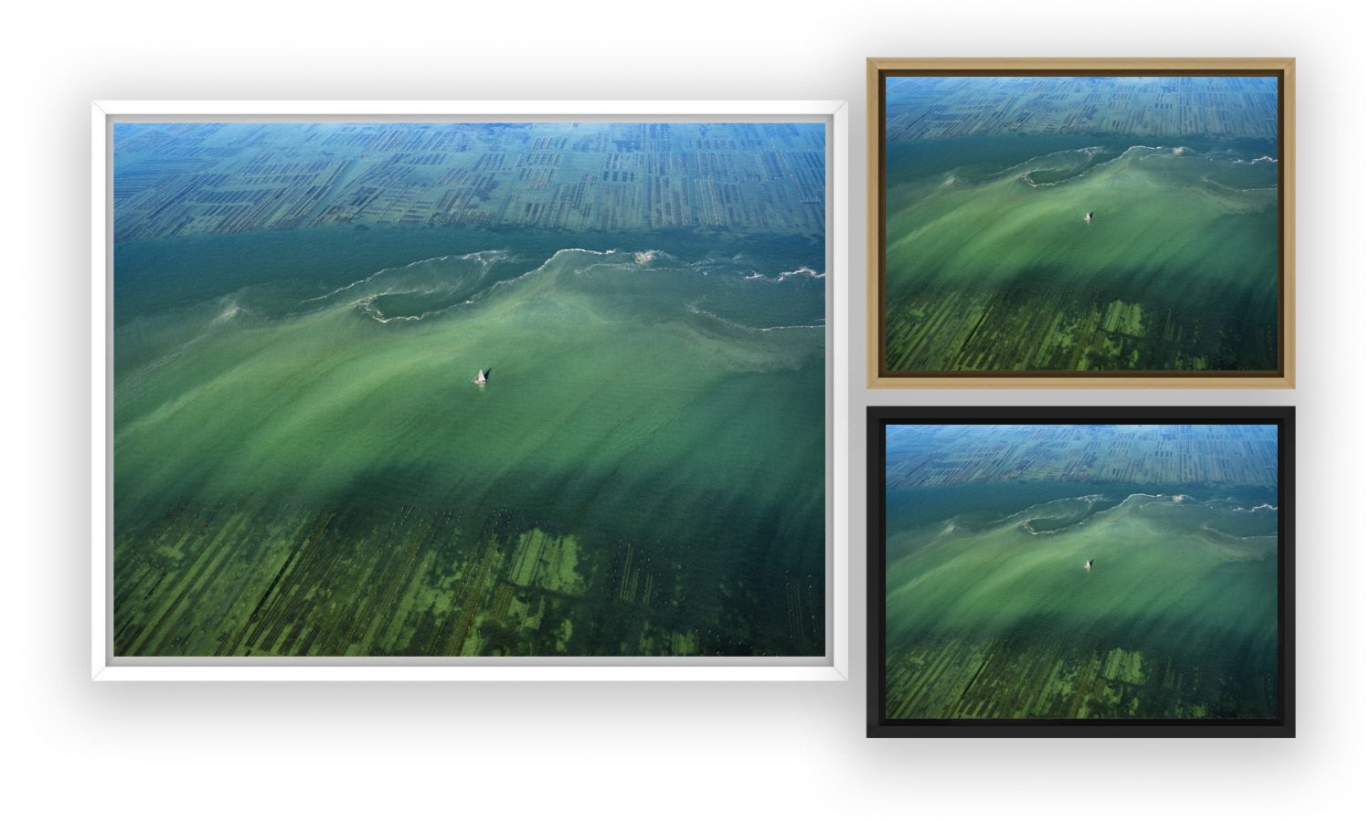 photo aérienne du Bassin d'Arcachon par Stéphane Scotto photographe