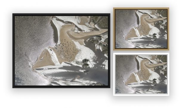 photo aérienne du Bassin d'Arcachon par Stéphane Scotto photographe